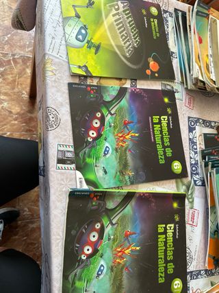 Se venden libros 6 primaria