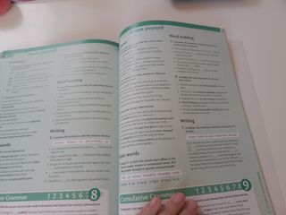 INITIATIVE 1 Sb Pk Cat