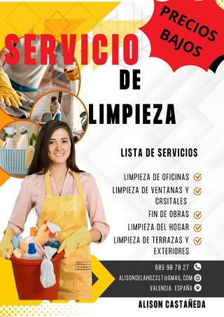 Servicio Limpieza Profesional