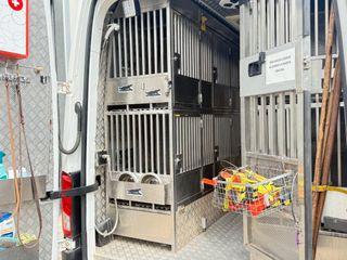 TRANSPORTE ANIMALES MAN TGE 2.0 TDI 4x4