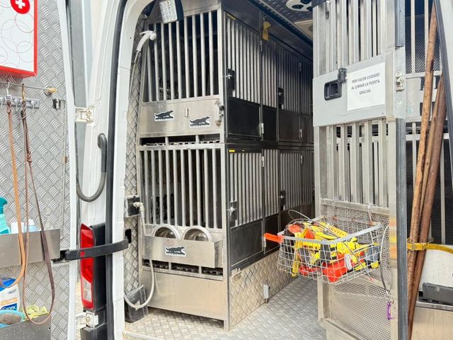 TRANSPORTE ANIMALES MAN TGE 2.0 TDI 4x4