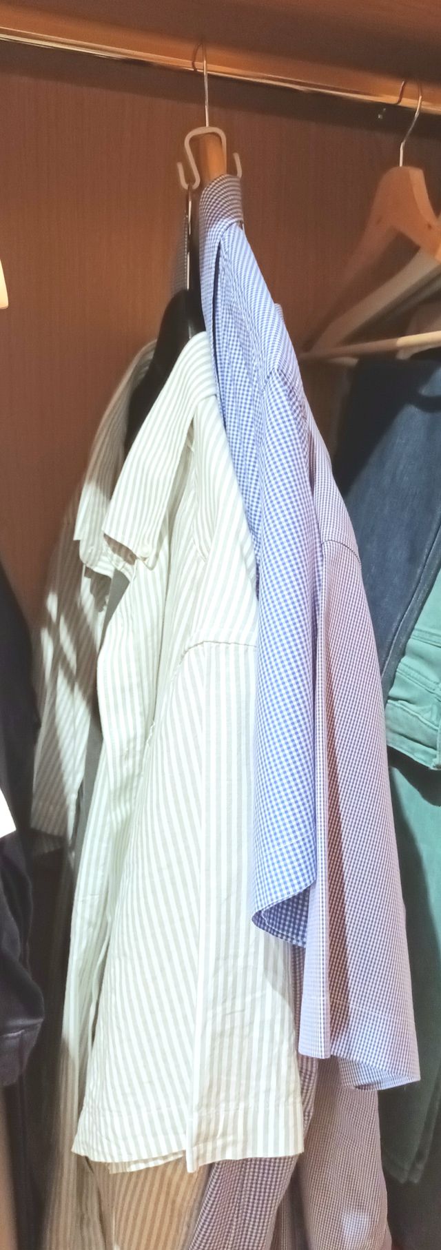 Colgador abatible y 6 colgadores dobles perchas