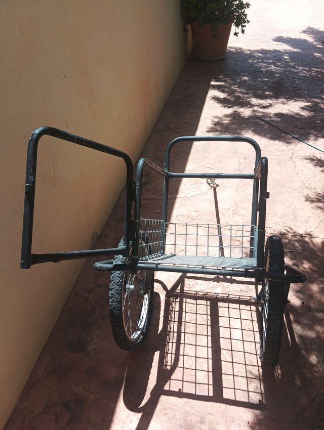 Carro remolque bicicleta