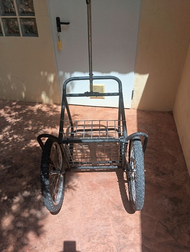 Carro remolque bicicleta