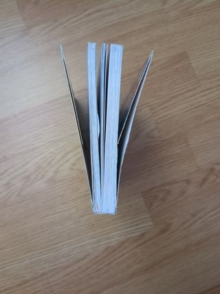 Los Futbolísimos 2: El misterio de los siete go...