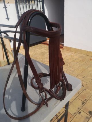 Cabezal cuero caballo