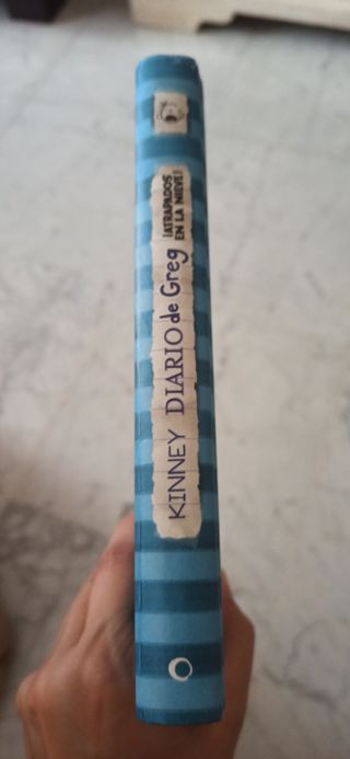 Diario de Greg. ¡Atrapados en la nieve!