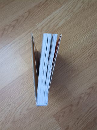 Los Futbolísimos 21: El misterio del Cerro de l...