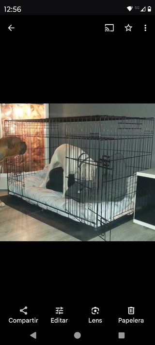 Jaula perro grande negra