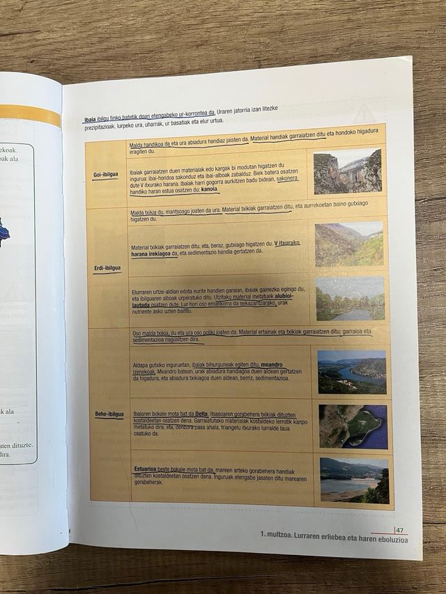 Biologia eta Geologia DBH 3