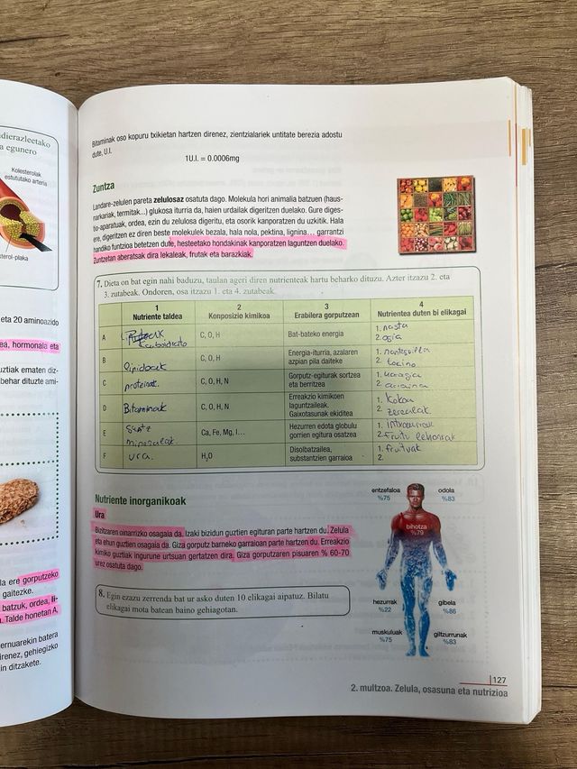 Biologia eta Geologia DBH 3