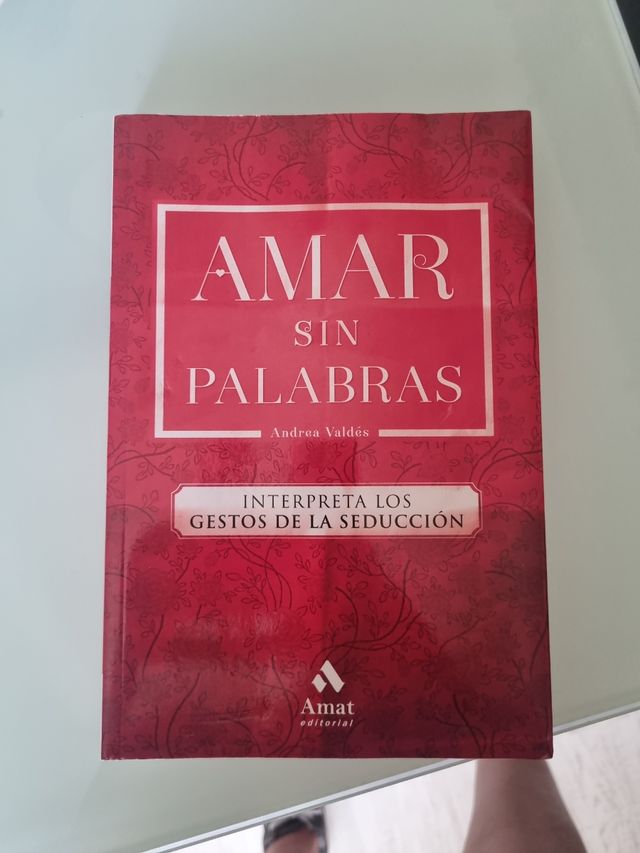 Amar sin palabras (Spanish Edition)
