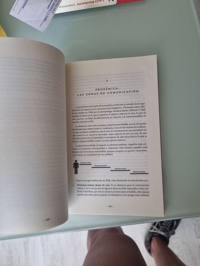 Amar sin palabras (Spanish Edition)