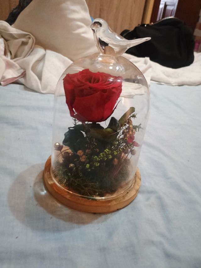 Rosa eterna cúpula cristal