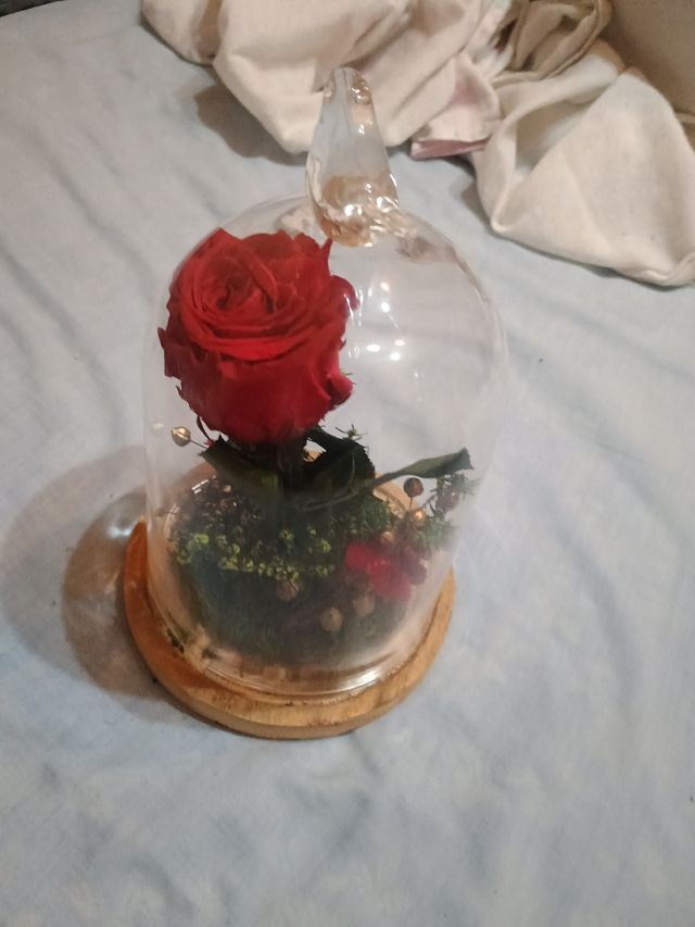 Rosa eterna cúpula cristal