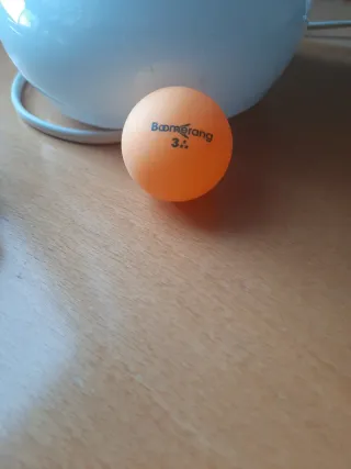 Raqueta Ping Pong Tigra Masters WRB