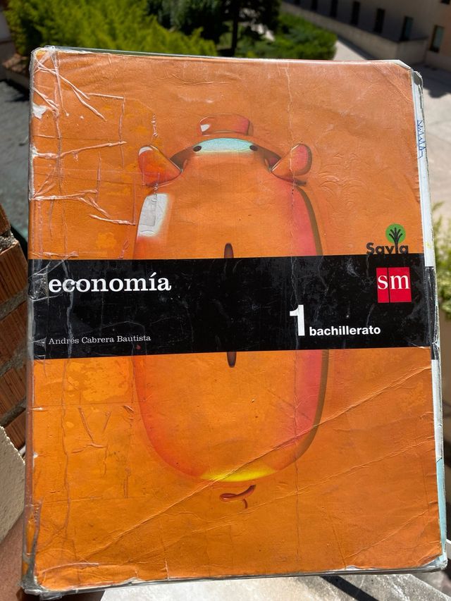 Economía. 1 Bachillerato. Savia (Spanish Edition)