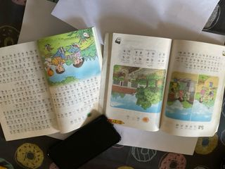 Dos libritos estudio chino mandarin