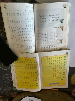 Dos libritos estudio chino mandarin