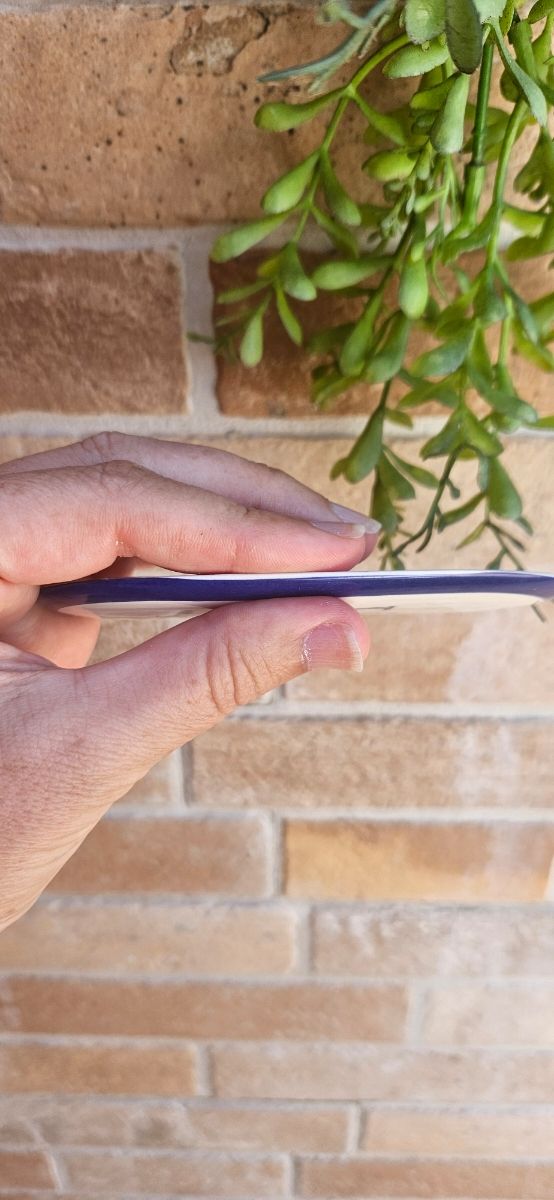 Placa Nueva WC ceramica azul y blanca