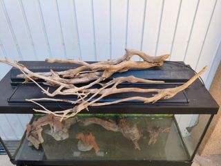 Aquar. 100L + mueble