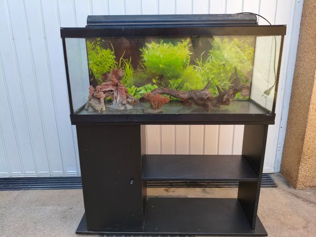 Aquar. 100L + mueble