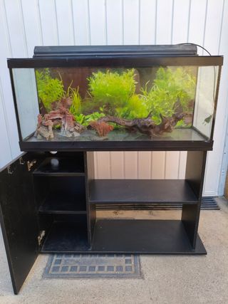 Aquar. 100L + mueble
