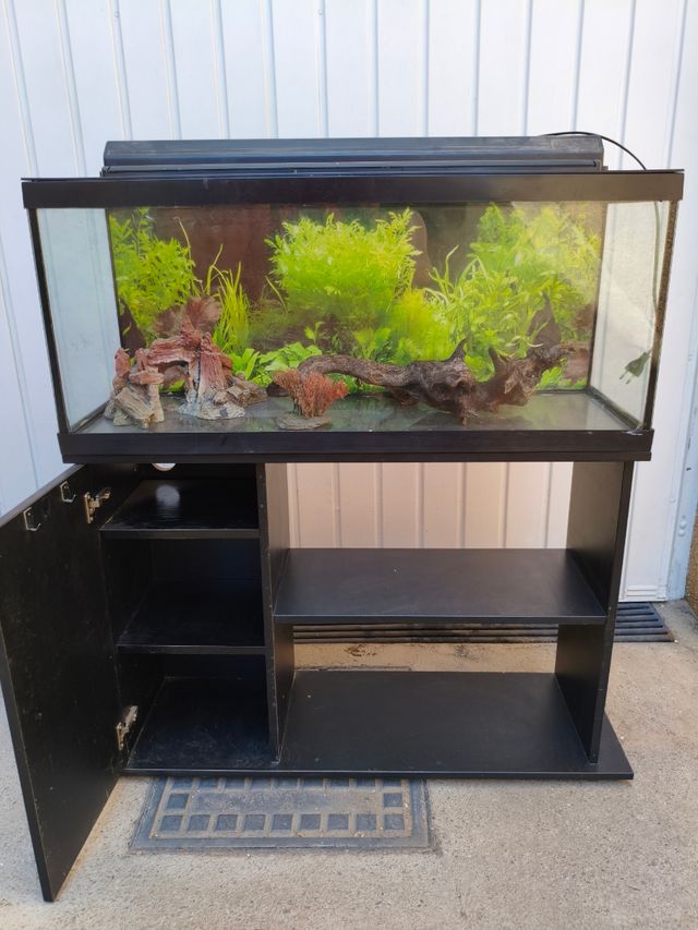 Aquar. 100L + mueble