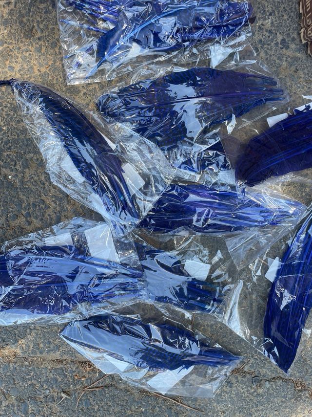 Plumas azules 100unds