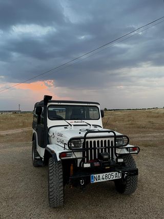 Mahindra CJ 540 1991