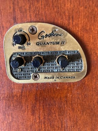 Godin Quantum II - Guitarra Acústica