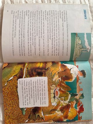 THE ADVENTURES OF TOM SAWYER LIFE SKILLS