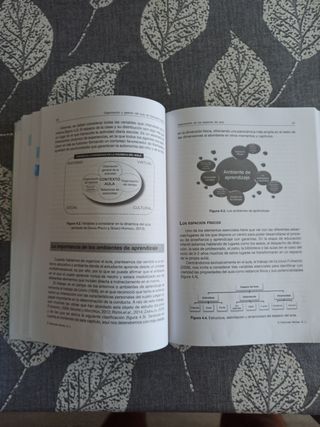 Organización y gestión del aula de Educación In...