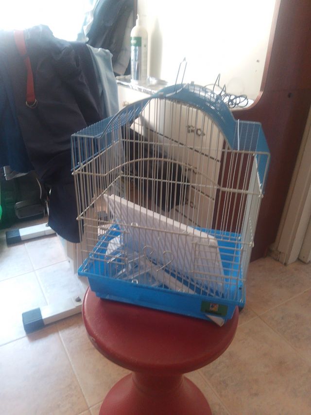 Jaula pájaros azul y blanca