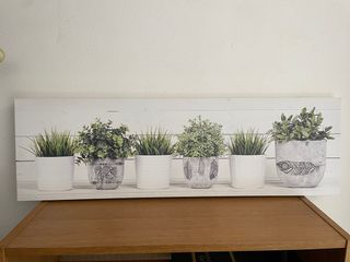 Cuadro plantas macetas - Decoración