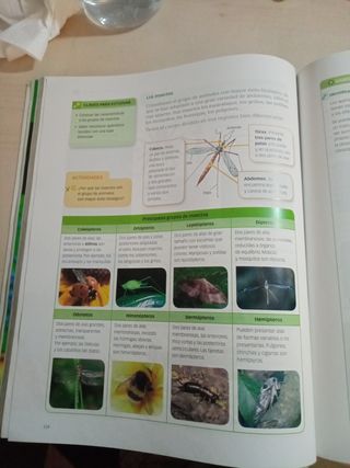 Biología Y Geología, 1 Eso