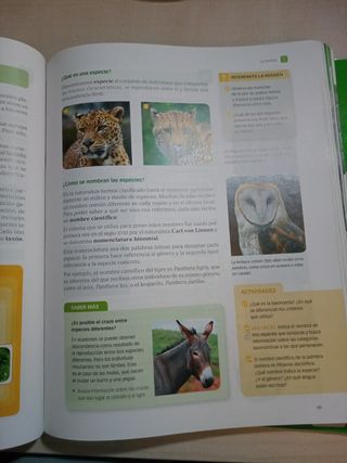 Biología Y Geología, 1 Eso