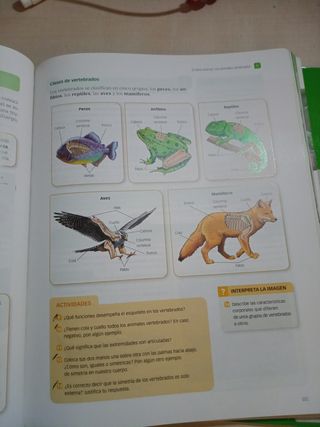 Biología Y Geología, 1 Eso