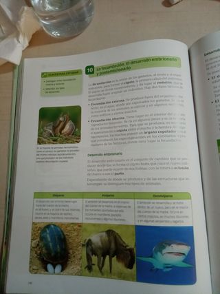 Biología Y Geología, 1 Eso
