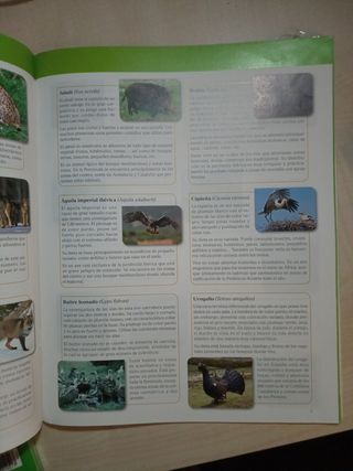 Biología Y Geología, 1 Eso