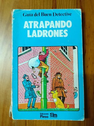 Lote de libros ilustrados Plesa.