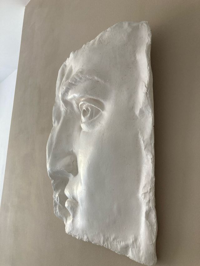 Cara David de Silvia Stein