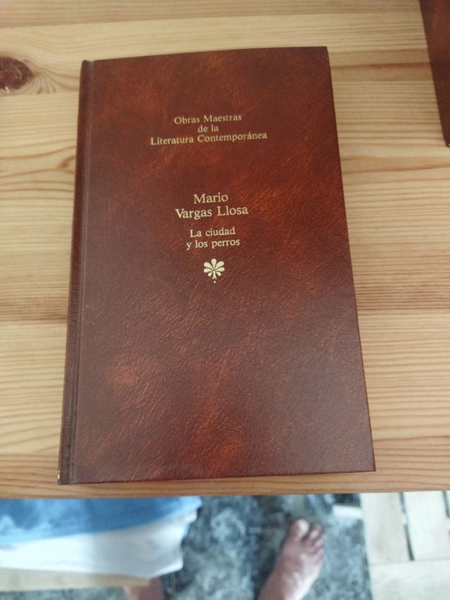 La Ciudad Y Los Perros.en mano