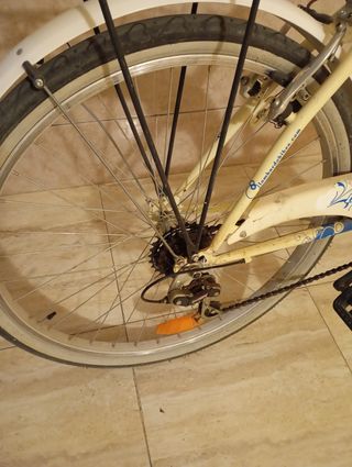Bicicleta clásica 