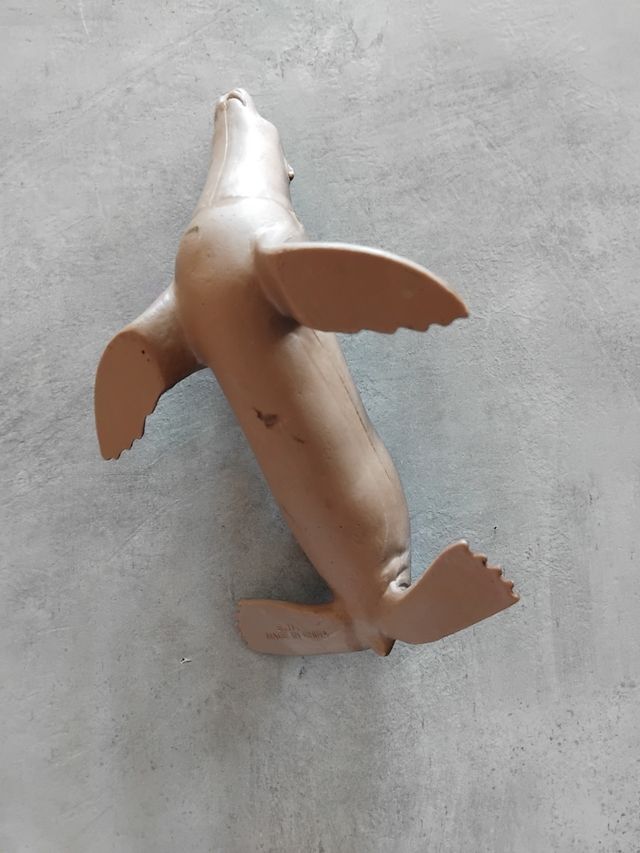 Set 3 animali marini: foca, leone marino, tartarug