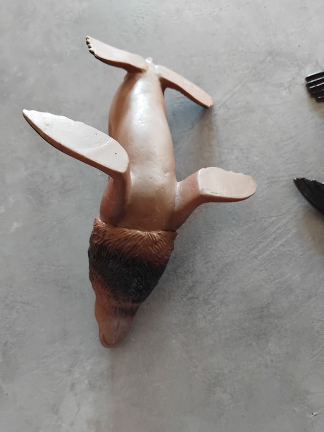 Set 3 animali marini: foca, leone marino, tartarug