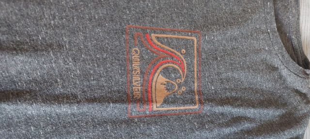 Camiseta Quiksilver gris