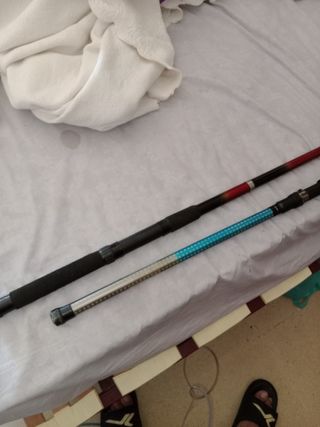 Cañas Pesca 3.60m 120-180g