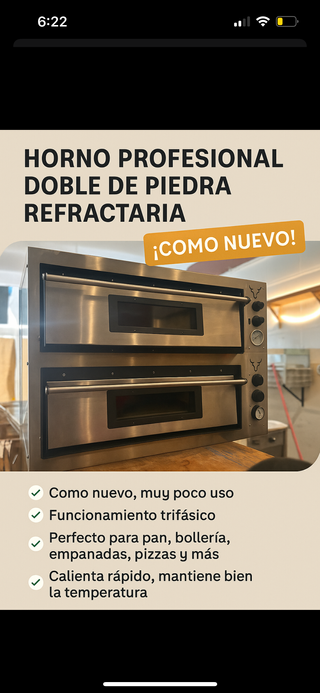 Horno pizza profesional