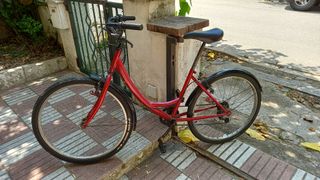Bicicletas: Niño y adulto